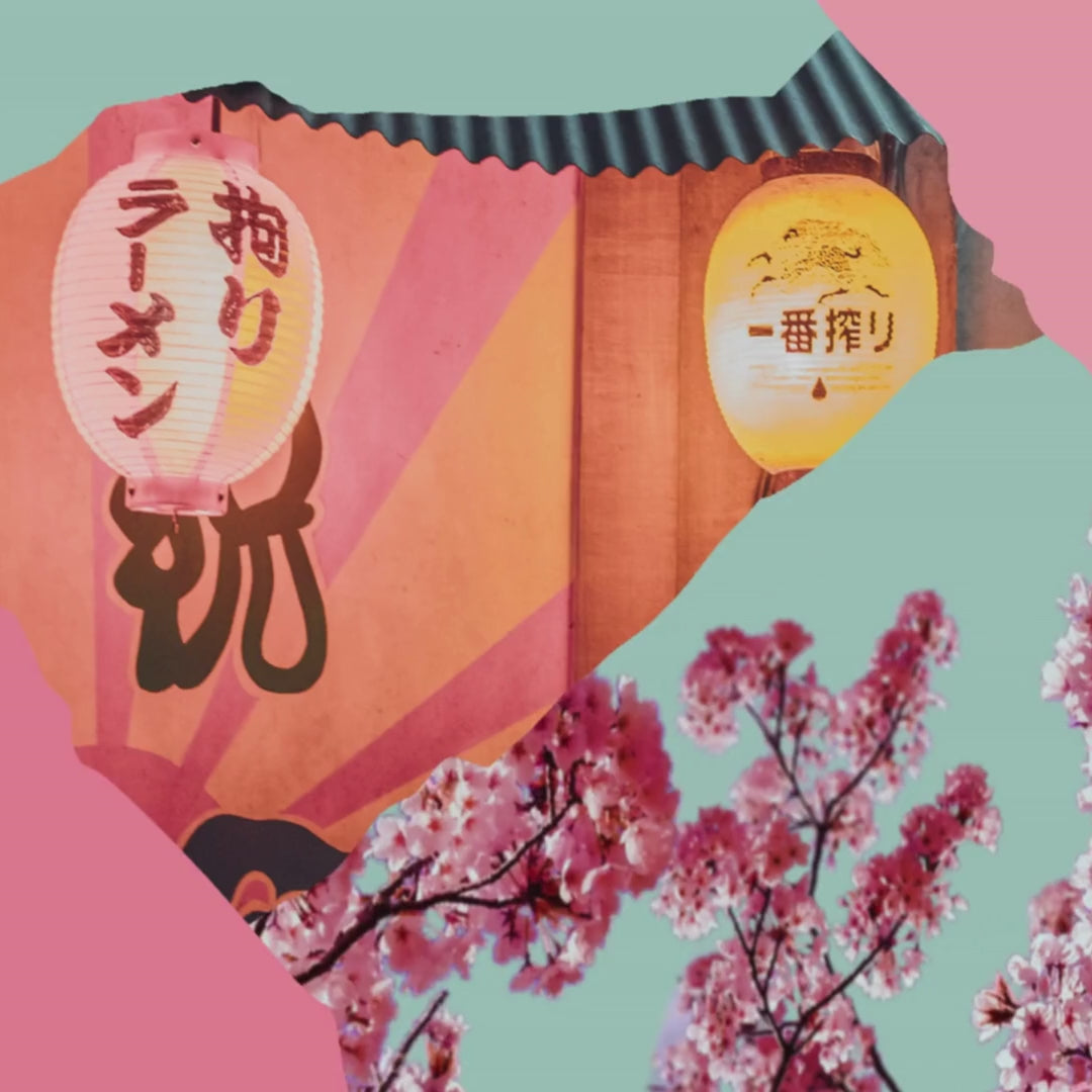 NEW! Variety Pack - Feat Japanese Style Dry